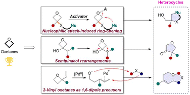 Graphical abstract: Oxetanes in heterocycle synthesis: recent advances
