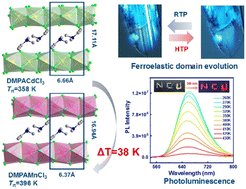 Graphical abstract: High phase transition temperature and photoluminescence properties in low-dimensional molecular perovskite ferroelastic crystals