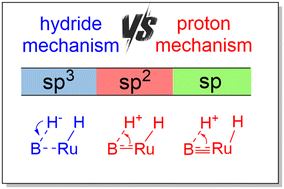 Graphical abstract: The critical role of boron hybridization (sp3vs. sp2vs. sp) in hydrogenation mechanisms by boron-based Ru catalysts