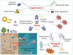 Graphical abstract: Environmentally persistent free radicals on micro- and nano-plastics: a double-edged sword to environmental and biological safety