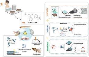 Graphical abstract: From prescription to pollution: environmental behavior and breakdown of fluoxetine