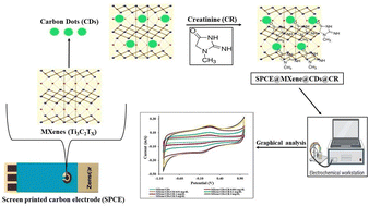 Graphical abstract: Electrochemical nanosensors using MXene-carbon dot modified screen-printed carbon electrodes for creatinine detection in serum samples