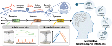 Graphical abstract: Memristive neuromorphic interfaces: integrating sensory modalities with artificial neural networks