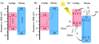 Graphical abstract: The performance of Cu3P/TiO2 nanotubes as a novel photoelectrocatalyst for water electrolysis in an alkaline medium