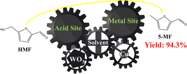 Graphical abstract: Non-precious Cu/WO3 catalyst for hydrogenolysis of HMF to 5-MF with ultra-high selectivity in a continuous flow reactor