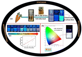 Graphical abstract: Enhanced resonance energy transfer and white-light emission in carrot-derived carbon dots: utilizing complementary colors