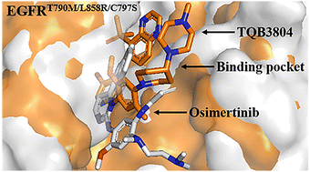 Graphical abstract: Molecular dynamics simulation and free energy analysis of EGFR resistance mutations: implications for the design of novel inhibitors