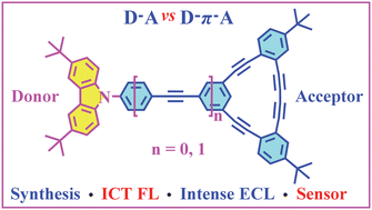 Graphical abstract: Dehydrobenzoannulene-based donor–acceptor architectures