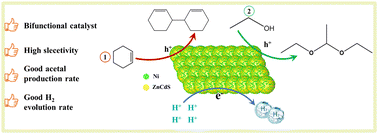 Graphical abstract: Highly selective photocatalytic oxidation of cyclohexene and ethanol coupled with H2 evolution over ZnCdS/Ni