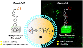 Graphical abstract: meso-Substituted BODIPY rotors as lipid droplet probes for cell-type differentiation