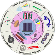 Graphical abstract: Nanowires in precision diagnostics: bridging preventive health care with nanoscale innovation