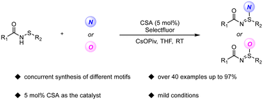 Graphical abstract: Brønsted acid-catalyzed synthesis of sulfinamidines and sulfinimidate esters through electrophilic fluorination and substitution
