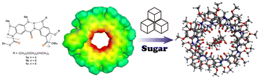 Graphical abstract: A computational investigation of aromatic oligoamide foldamer binding to sugar molecules