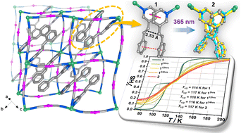 Graphical abstract: Photochemical [2 + 2] reaction-tuned spin-crossover cooperativity in an Fe(ii)–Ag(i) bimetallic Hofmann-type framework