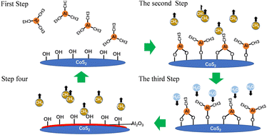 Graphical abstract: Study on modification and electrochemical properties of COS2-based cathode materials