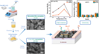 Graphical abstract: Comparative study of monoclinic and cubic WO3 nanoplates on NO2 gas-sensing properties