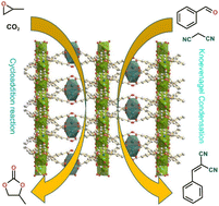 Graphical abstract: Nanocage-based {SnEr2}-organic framework for high catalytic performance in cycloaddition of CO2 with epoxides and Knoevenagel condensation