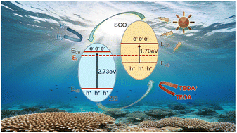 Graphical abstract: Optimization of electron distribution by sulfidation: constructing a 1D S-Co3O4/ZnIn2S4 heterojunction for efficient visible-light-driven hydrogen evolution catalysis