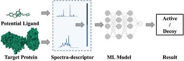 Graphical abstract: Spectra-descriptor-based machine learning for predicting protein–ligand interactions