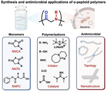 Graphical abstract: Synthesis and antimicrobial applications of α-peptoid polymers