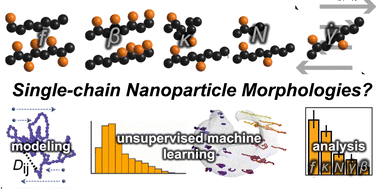Graphical abstract: Effect of shear flow and precursor polymer design on single-chain nanoparticle formation
