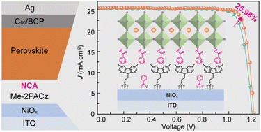 Graphical abstract: Tailoring self-assembled monolayers with post-assembly nicotinic acids for efficient and ultraviolet stable inverted perovskite solar cells