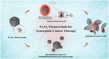 Graphical abstract: Multifunctional Fe3O4 mesocrystals for cancer therapy: integrating hyperthermia and targeted drug delivery