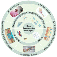 Graphical abstract: Advances in hydrogel systems for bone regeneration: trends, innovations, and prospects