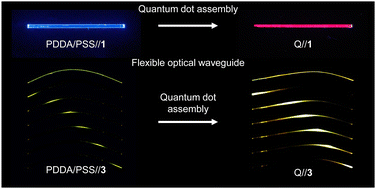 Graphical abstract: Flexible organic crystal-quantum dot hybrids with adjustable waveguides