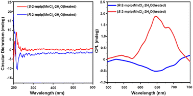 Graphical abstract: Chiral hybrid manganese(ii) chloride single crystals for achieving second harmonic generation and moderate circularly polarized luminescence