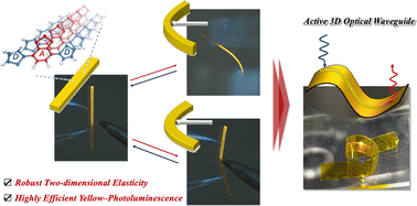 Graphical abstract: 2D elastic fluorinated donor–acceptor type π-conjugated molecular crystals and their optical crystal–polymer hybrid films