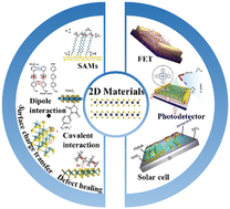 Graphical abstract: Molecular engineering of polarity control in two-dimensional materials for optoelectronic applications
