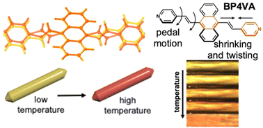 Graphical abstract: Temperature-driven molecular dynamics initiate thermochromism and luminescence modulation in an anthracene-based organic semiconductor crystal