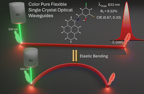 Graphical abstract: Pure red emitting elastic organic single crystals as flexible optical waveguides and circuits