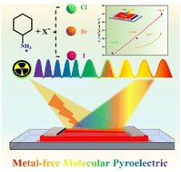 Graphical abstract: A metal-free molecular pyroelectric material with strong pyro-photovoltaic coupling for enhancing self-powered X-ray response