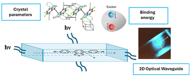 Graphical abstract: Experimental and theoretical insights into light confinement within 2D waveguides of alkylphenyl benzothiadiazole crystals