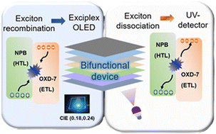 Graphical abstract: Unlocking the bifunctional potential of the NPB:OXD-7 exciplex in organic light-emitting diodes and UV-photodetectors
