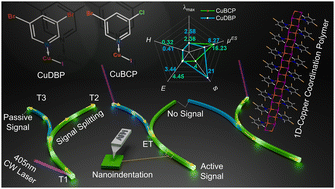 Graphical abstract: Halogen-assisted colour modulation in a flexible copper coordination polymer crystal-based hybrid photonic splitter