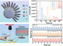 Graphical abstract: Surface ligand engineering of Ag2Te colloidal quantum dots for a self-powered shortwave infrared photodetector