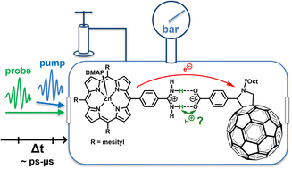 Graphical abstract: Activation volumes associated with excited-state electron transfer across amidinium-carboxylate bridge