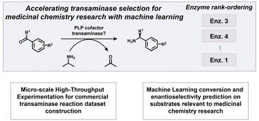 Graphical abstract: A machine learning-based workflow for transaminase selection