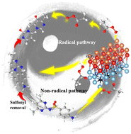 Graphical abstract: Revealing the importance of non-radical mechanisms in the degradation of sulfamethazine by Lewis acid-etched Co@MXene-activated peroxyacetic acid