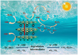 Graphical abstract: The performance and mechanism of phosphotungstic acid-modified NiFe-LDH heterogeneous photo-Fenton catalyst for efficient degradation of tetracycline