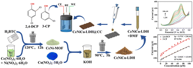 Graphical abstract: A novel electrochemical sensor for simultaneous determination of 2,4-dichlorophenol and 3-chlorophenol