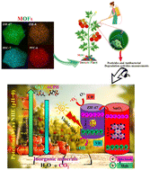 Graphical abstract: Designing MOF-based green nanomaterials for enhanced pathogen resistance and pesticide degradation in tomato plants