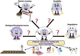 Graphical abstract: Environmental and human risk assessment of polymer nanocarriers: a review on current analytical challenges and promising approaches