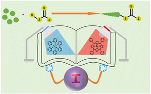 Graphical abstract: Radical promoted cationic RAFT polymerization by photo electron transfer reaction