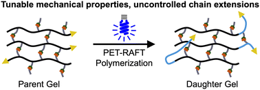Graphical abstract: Customizing STEM organogels using PET-RAFT polymerization