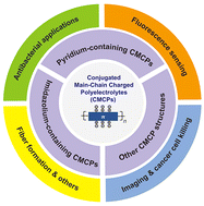 Graphical abstract: Synthesis and applications of conjugated main-chain charged polyelectrolytes