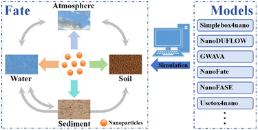 Graphical abstract: Fate models of nanoparticles in the environment: a critical review and prospects